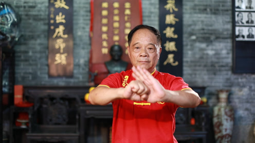 最早走向世界的佛山功夫—— 佛山蔡李佛鸿胜馆