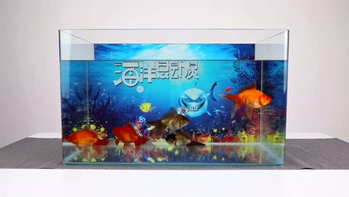 鱼缸背景贴安装操作教程淘宝产品操作拍摄 腾讯视频