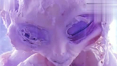 外星人标本 腾讯视频