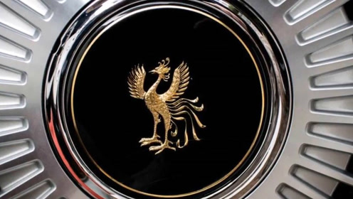 丰田金凤凰最顶级豪车,皇室专用,奢华堪比劳斯莱斯,仅售75万