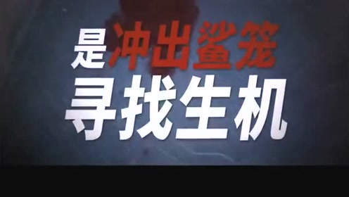 鲨海47 深海逃生 腾讯视频