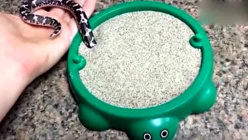 沙羅曼蛇 腾讯视频