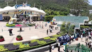 没有一条海豚属于公园