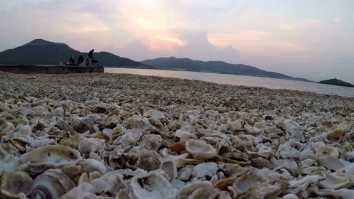 大连金州鹿鸣岛海上风景随手拍,一个旅游赶海的好地方