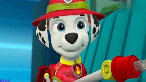 汪汪队立大功:灰灰的喉咙有一点哑,毛毛给它做了检查