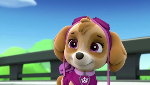 《汪汪队立大功》可爱的天天一副大眼睛太漂亮了