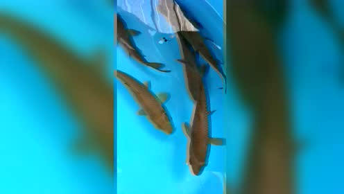 腾讯视频