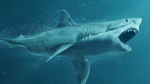 《巨齿鲨》海底侏罗纪,史前巨兽大开鲨戒
