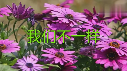 大壮经典歌曲《我们不一样》好听极了!