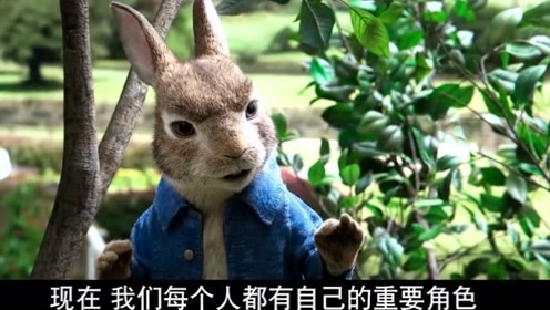 《比得兔》特别版《remember the name》mv 唱跳全能优质萌兔等你pick