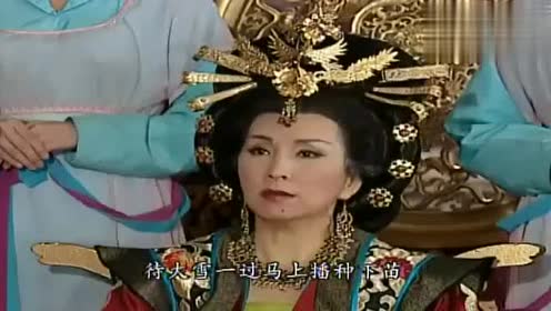 盛世仁杰 腾讯视频