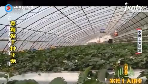 腾讯视频