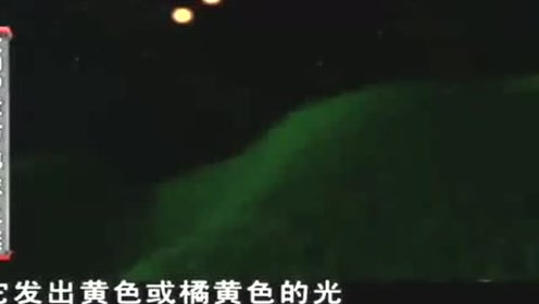 UFO造访地球之谜：飞行物发出橘黄色的光，有点像火球 - 外星人UFO真相_说飞碟探索ET外星人_揭秘不明飞行物之谜的网站