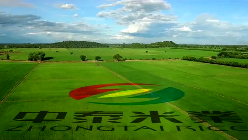 中泰米业企业视频简介