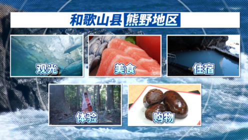 腾讯视频