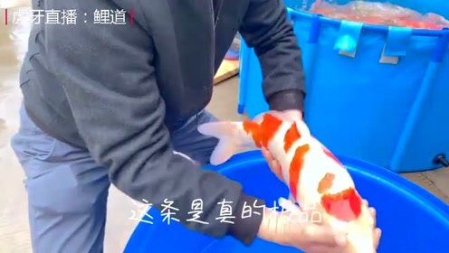 腾讯视频