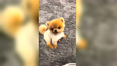 森田俊介 腾讯视频