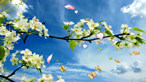 《梨花颂》动态背景