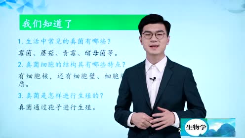 新版八年级生物上册5.4.3 真菌