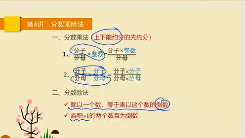 苏教版六年级数学上册4 分数乘除法