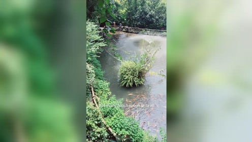 西山上的观音诞 腾讯视频