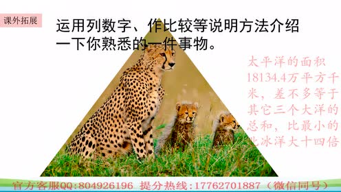 五年级语文上册7  什么比猎豹的速度更快