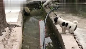 美丽的泡沫只一霎的花火的个人频道