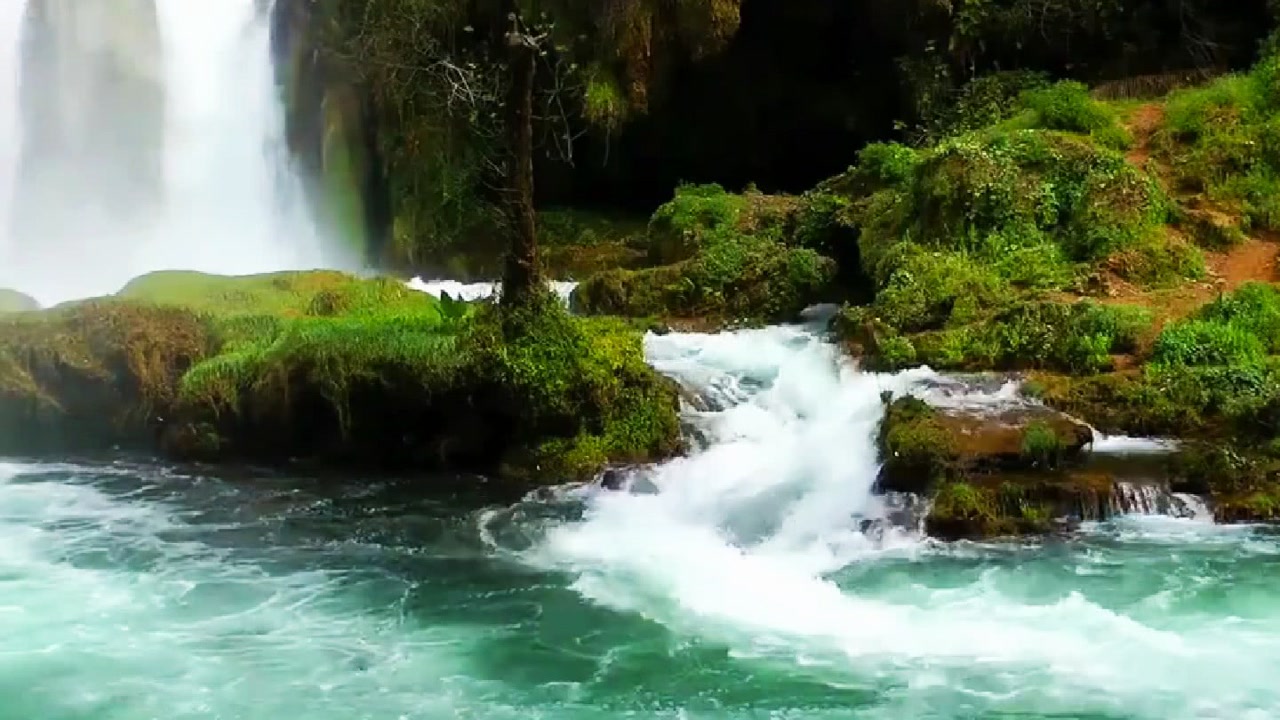 這樣的美景,可以循環播放一整天