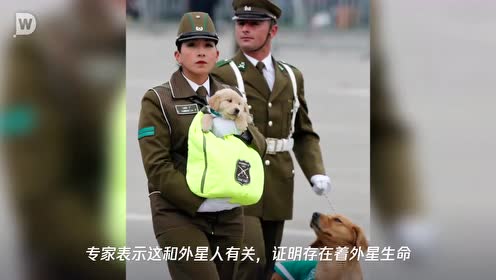 智利上空现球形不明飞行物 速度飞快发出白光的图片