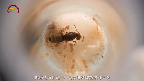 腾讯视频
