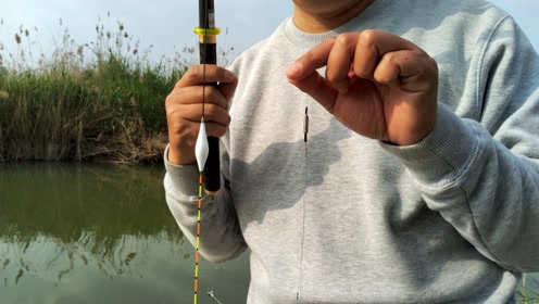看完就知道钓鱼时如何选择浮漂了