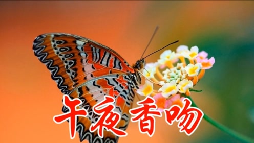 高胜美《午夜香吻》,经典金曲,百听不厌.