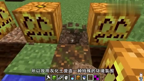 腾讯视频