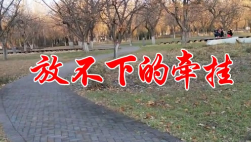 风语一首《放不下的牵挂》句句深情,送给你,愿你开心每一天!