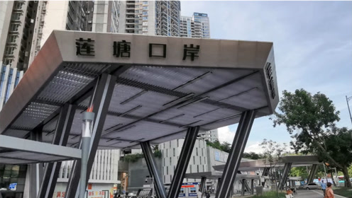 深圳莲塘-香港香园围口岸莲塘外景实拍