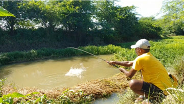 当印度钓友学会了打窝，草窝里拔大物，速度堪比拔萝卜