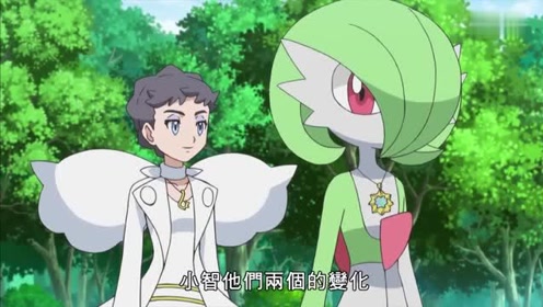 精灵宝可梦xyz:小智与卡露乃小姐的决战,甲贺忍蛙vs沙奈朵