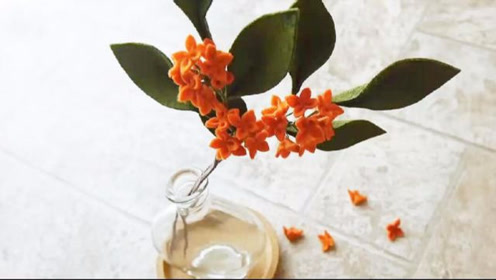 不织布花 腾讯视频