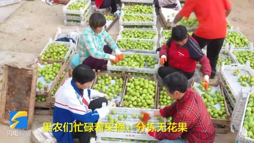 江苏荣成路桥 腾讯视频