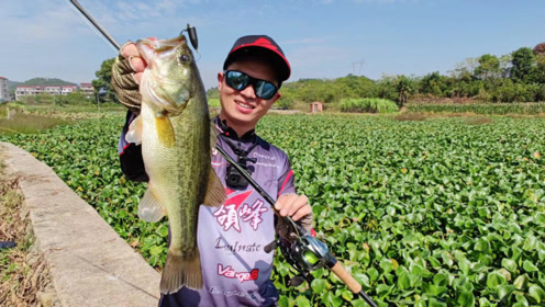 lureleader 领峰路亚|重障碍作钓,图图,杨博欢乐大pk!