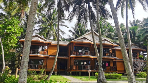 海南文昌东郊椰林