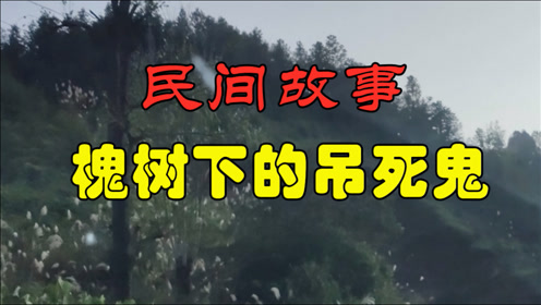 民间鬼故事《槐树下的吊死鬼》欺人太甚的人最终没有好报