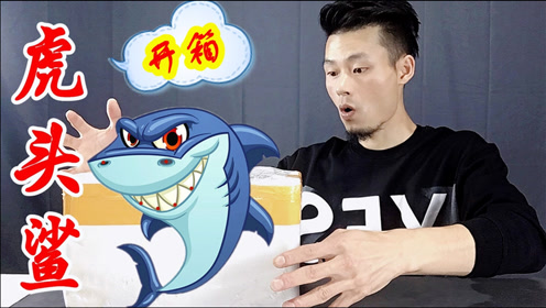 你们催了好久的鲨鱼买到了,一条凶猛的白化虎头鲨,好看又霸气