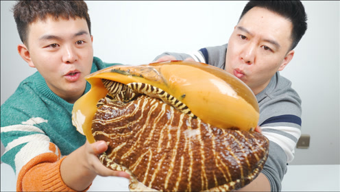 0:04:57买了一只8斤的椰子螺,小文哥给小翔哥做