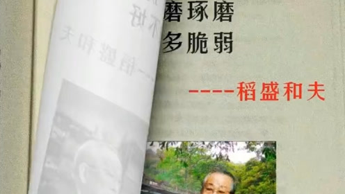 稲野和子 腾讯视频