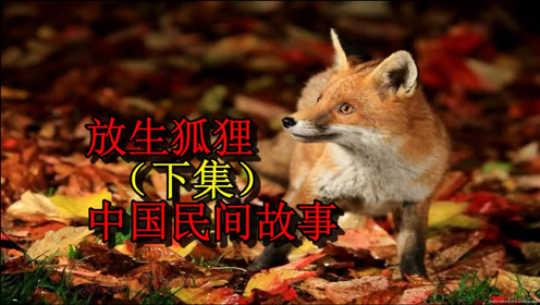 中国民间故事之人狐恩怨 腾讯视频