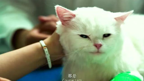 我爱喵星人吴世勋电影 腾讯视频