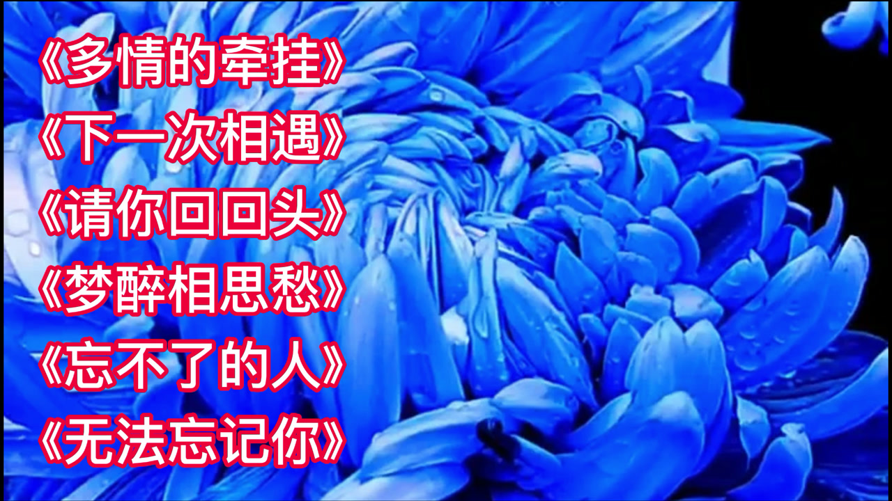 多情的牵挂