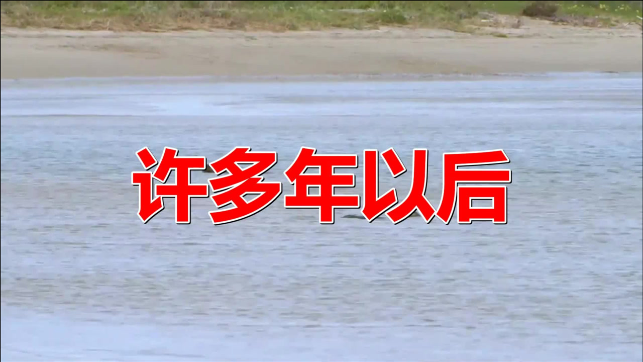 经典老歌《许多年以后》好听至极,一首歌影响3代人!