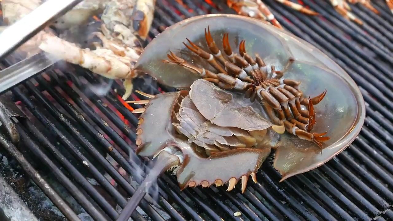 泰国特色美食-马蹄蟹